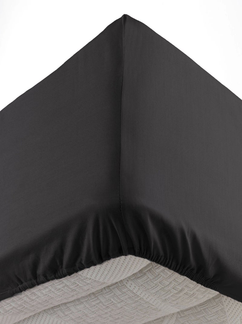 Algodão lina douceur d'intérieur Preto - Kiabi