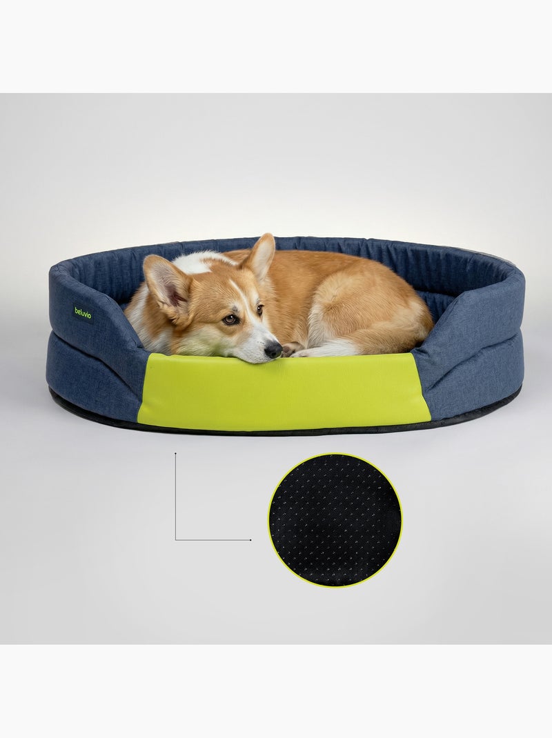 Almofada para cão PELUVIO Arita - Antiderrapante Azul - Kiabi