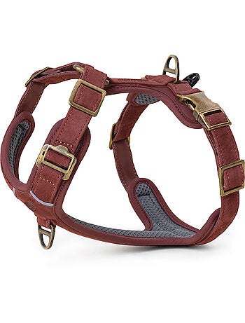 Arnês para cães em couro PELUVIO Lord - Ajustável