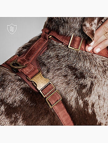 Arnês para cães em couro PELUVIO Lord - Ajustável