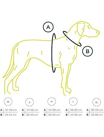 Arnês para cães em couro PELUVIO Lord - Ajustável