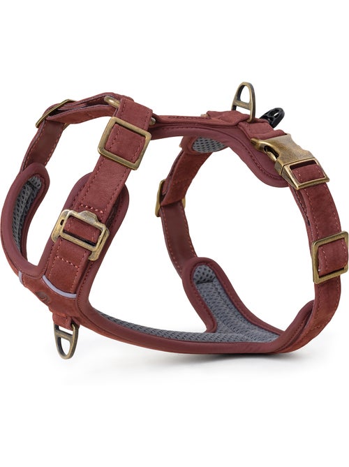 Arnês para cães em couro PELUVIO Lord - Ajustável - Kiabi