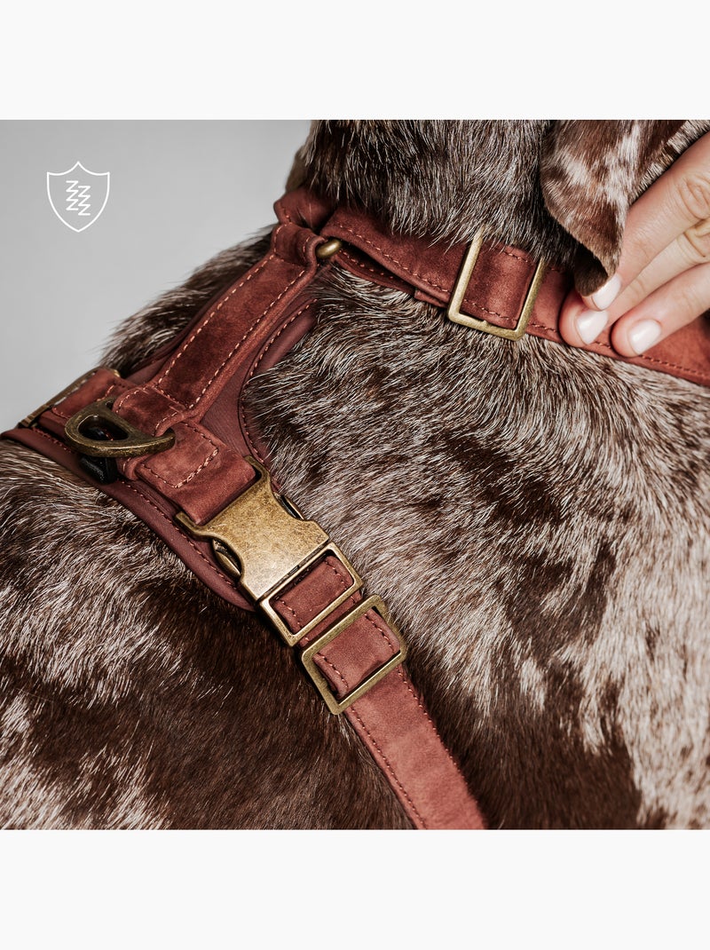 Arnês para cães em couro PELUVIO Lord - Ajustável Bordô - Kiabi