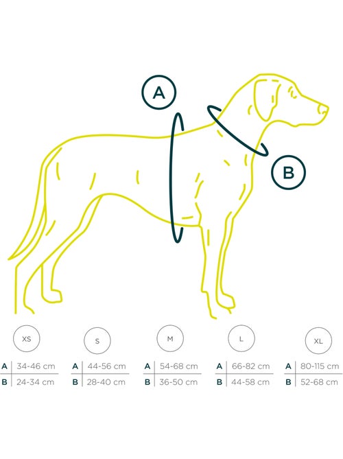 Arnês para cães em couro PELUVIO Lord - Ajustável - Kiabi