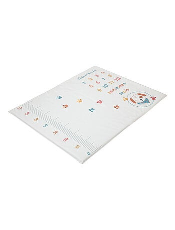 Babycalin - tapete de brincar para bebê festa de aniversário para cachorrinhos - 72,5 x 92 x 2,5 cm