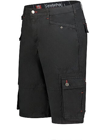 Bermudas palmdeak – canadian peak