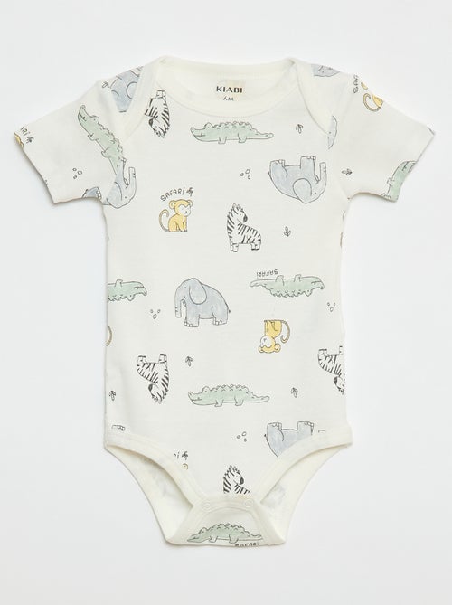 Bodies estampados em algodão - lote de 3 - Kiabi