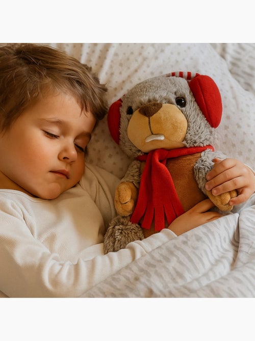 Botija térmica de peluche 2 em 1 em forma de marmota - Kiabi