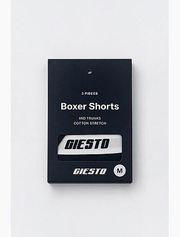 Boxer giesto