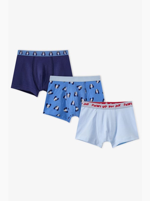Boxer menino paws for joy de algodão penti - Kiabi