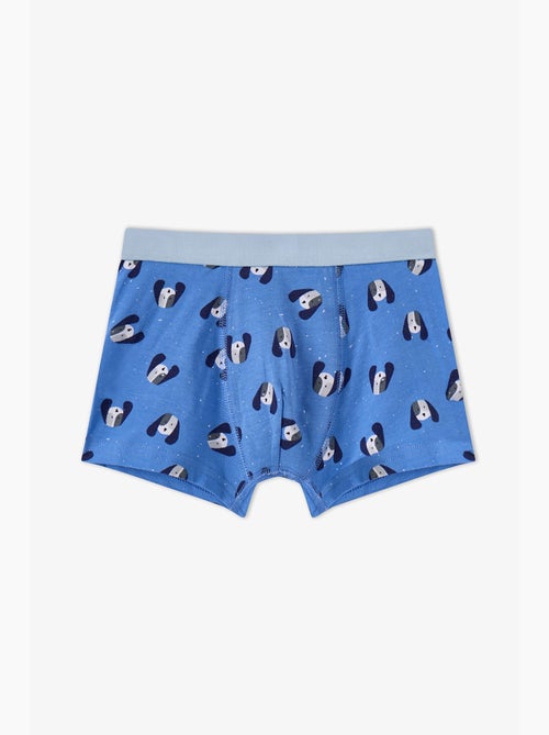 Boxer menino paws for joy de algodão penti - Kiabi