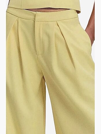 Calça comprida plissada de perna larga hiccup