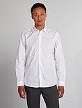 Camisas