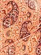     Camisa estampada transparente vista 6

