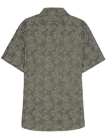 Camisa Kaki de Homem Teddy Smith Loyd