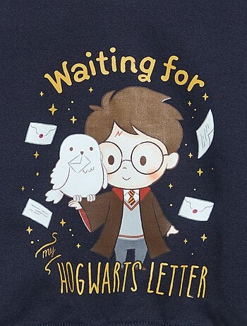 Camisola de moletão 'Harry Potter'