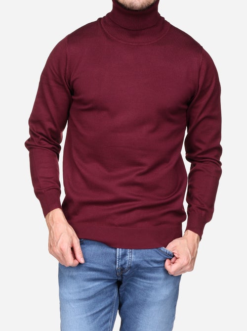 Camisola elegante de gola alta - Frilivin - Kiabi