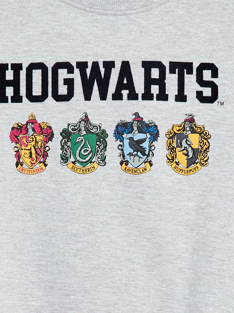 Camisola estampada 'Harry Potter' em moletom cardado macio e quente Cinza - Kiabi
