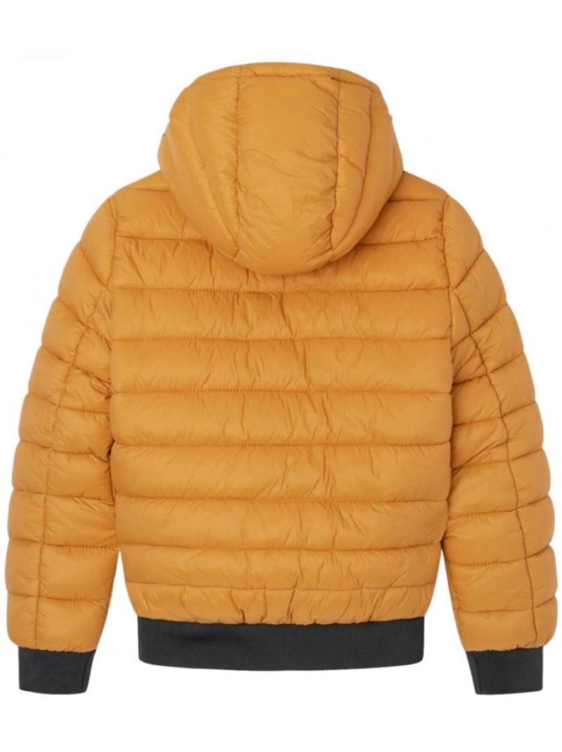 Casaco Acolchoado Amarelo para Menino Pepe Jeans Alexander Amarelo - Kiabi
