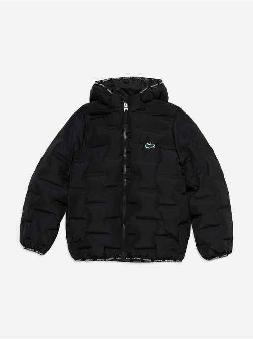 Casaco acolchoado com capuz - lacoste - Kiabi