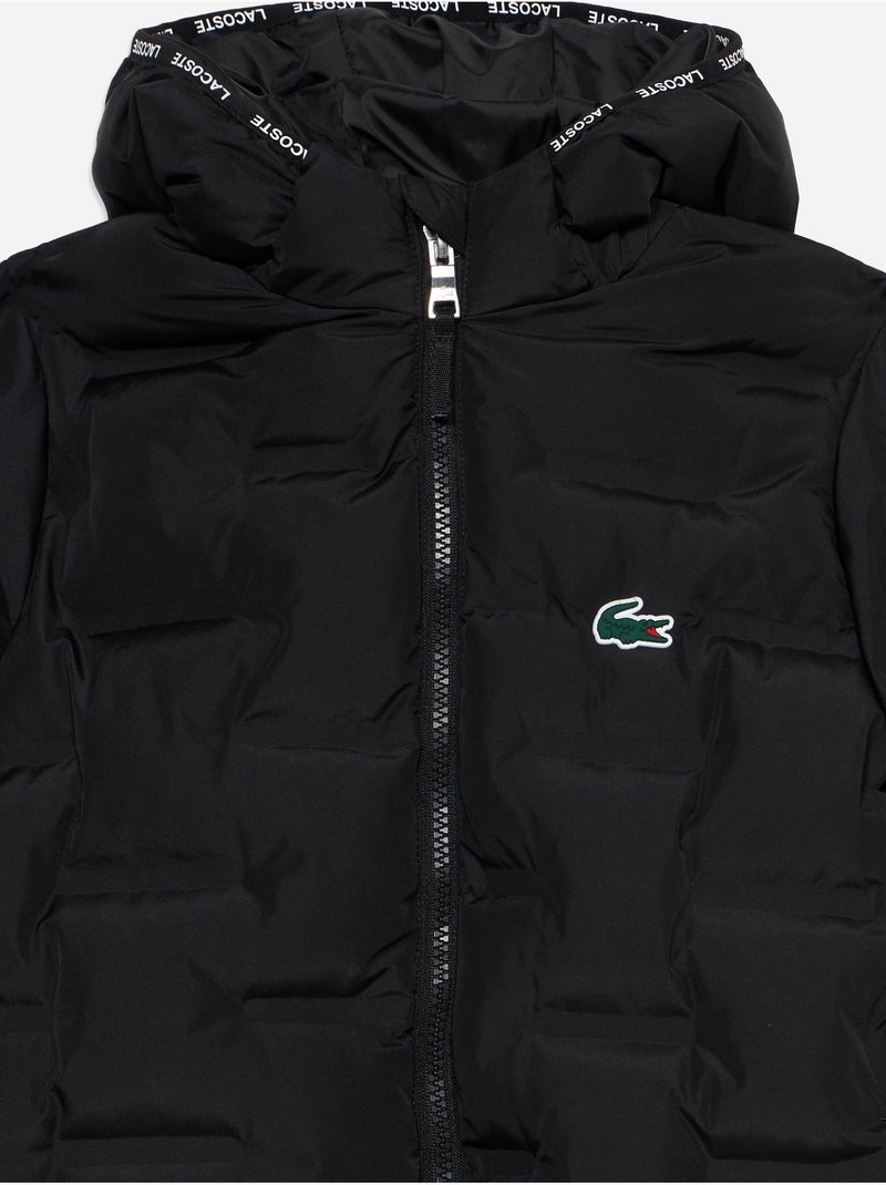 Casaco acolchoado com capuz - lacoste Preto - Kiabi