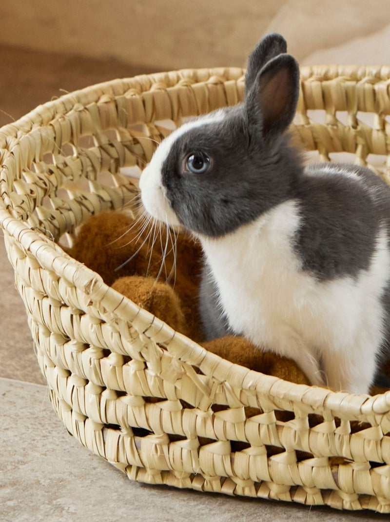 Cesto de vime para cães pequenos Madeira natural - Kiabi