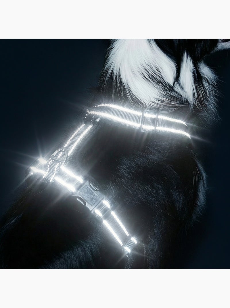 Coleira para cães PELUVIO Mate - Refletora - Ajustável Preto - Kiabi