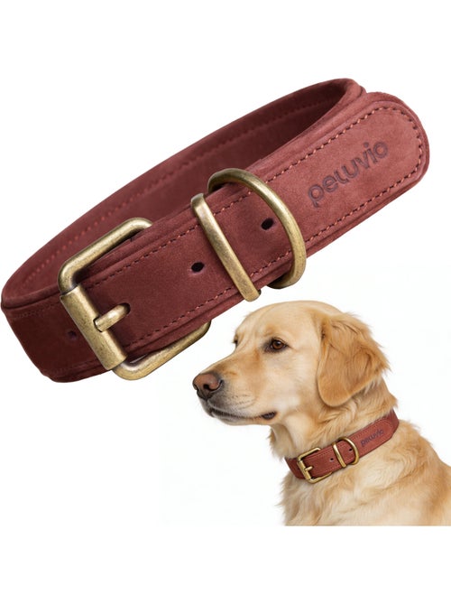 Coleira para cão em couro PELUVIO Rexor - Ajustável - Kiabi Coleira para cão em couro PELUVIO Rexor - Ajustável - Kiabi