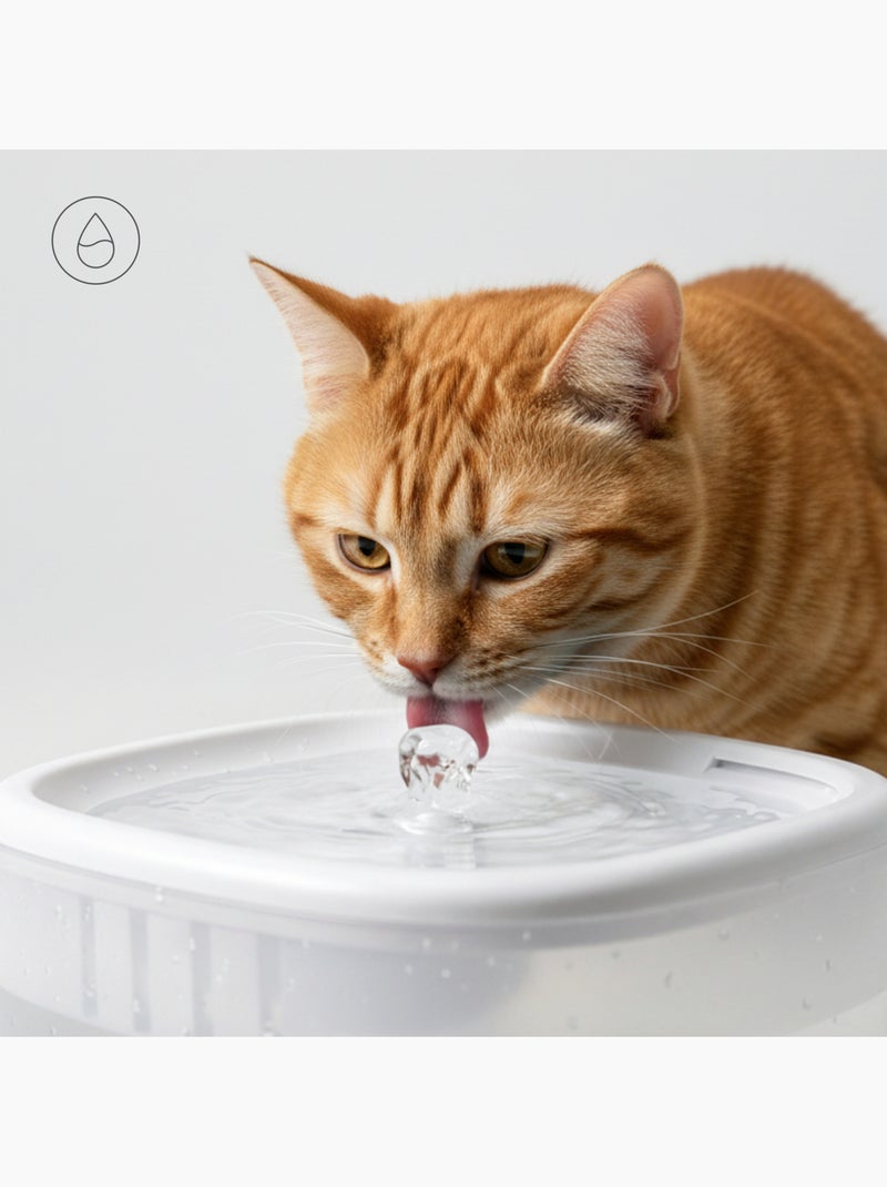 Comedeira automática 2em1 para gato PELUVIO Feast - Bebedouro - Wi-Fi - 10/dia Branco - Kiabi