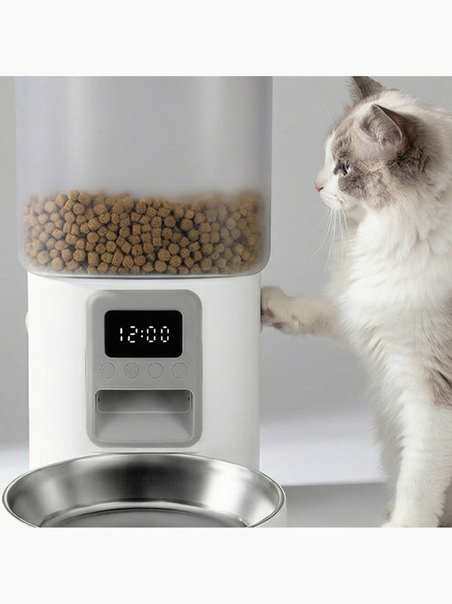 Comedeira automática para gato PELUVIO Crispy - 4,5 L - 4 refeições/dia - Kiabi Comedeira automática para gato PELUVIO Crispy - 4,5 L - 4 refeições/dia - Kiabi