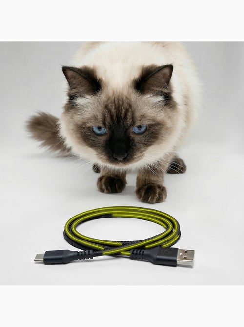 Comedeira automática para gato PELUVIO Crispy - 4,5 L - 4 refeições/dia - Kiabi Comedeira automática para gato PELUVIO Crispy - 4,5 L - 4 refeições/dia - Kiabi