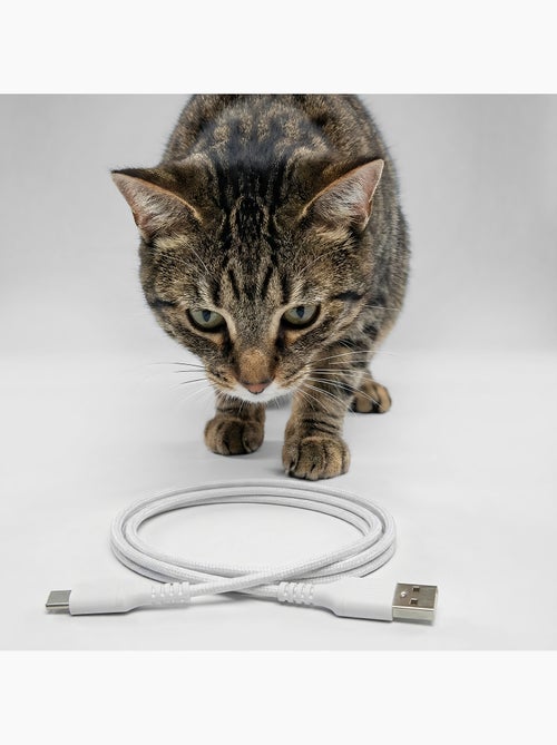 Comedeira automática para gato PELUVIO Crispy - Wi-Fi - 4,5 L - 4 refeições/dia - Kiabi Comedeira automática para gato PELUVIO Crispy - Wi-Fi - 4,5 L - 4 refeições/dia - Kiabi