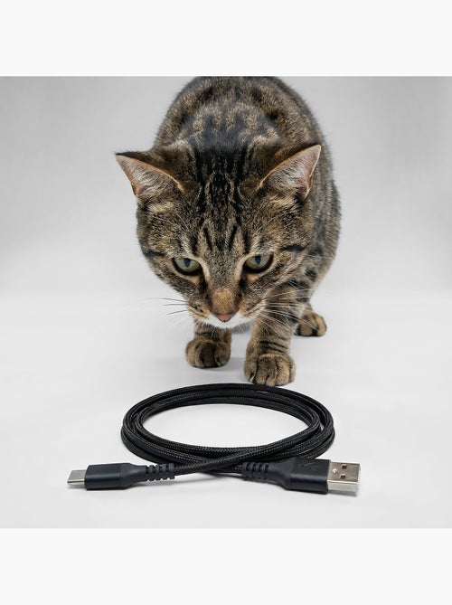 Comedeira automática para gato PELUVIO Crispy - Wi-Fi - 4,5 L - 4 refeições/dia - Kiabi Comedeira automática para gato PELUVIO Crispy - Wi-Fi - 4,5 L - 4 refeições/dia - Kiabi