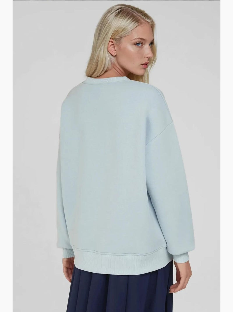 Comfort sweatshirt de gola redonda com padrão animal bordado em relevo hiccup Azul-pastel - Kiabi