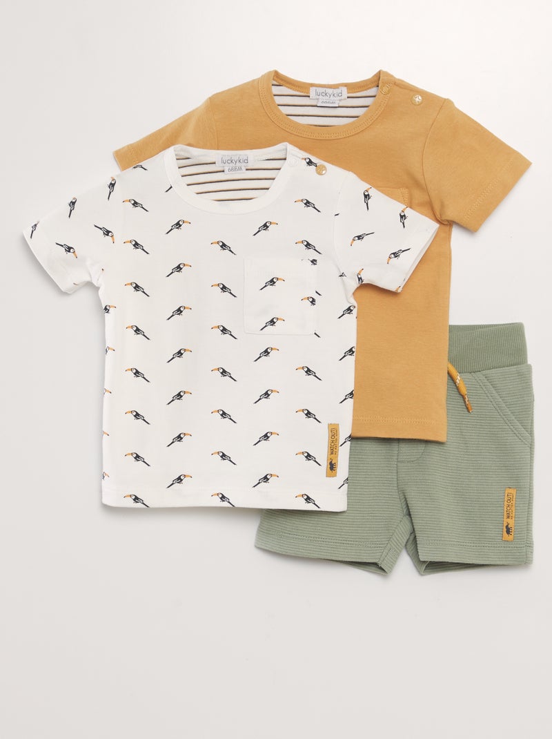 Conjunto 2 t-shirts + calções - 3 peças MARROM - Kiabi