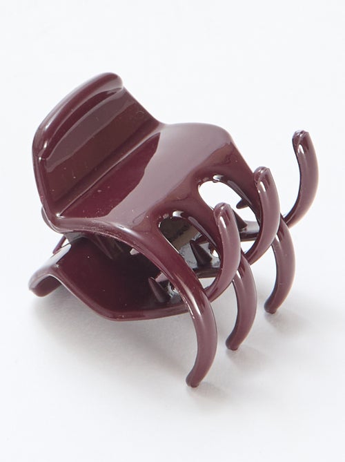 Conjunto de 2 Pequenas Pinças de Cabelo - Kiabi