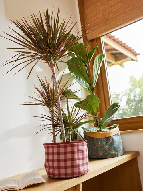 Conjunto de 3 cestos para roupa suja - Kiabi Home - Kiabi