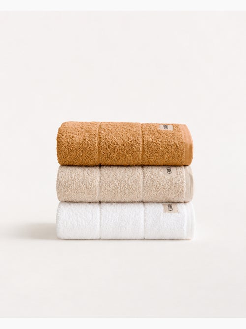 Conjunto de 3 panos de cozinha 100% algodão, cores sortidas, tecido turco - Gamusi. - Kiabi
