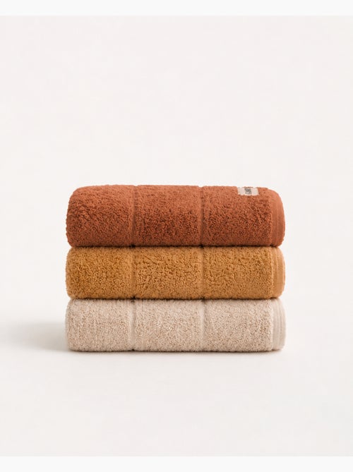 Conjunto de 3 panos de cozinha 100% algodão, cores sortidas, tecido turco - Gamusi. - Kiabi