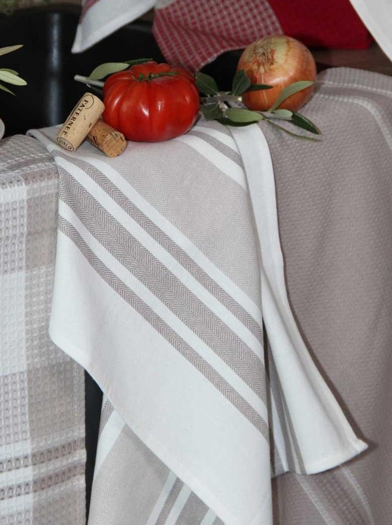 Conjunto de 3 panos de cozinha em algodão 50x70 cm Bege - Kiabi