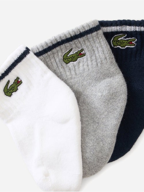 Conjunto de 3 pares de meias - lacoste - Kiabi