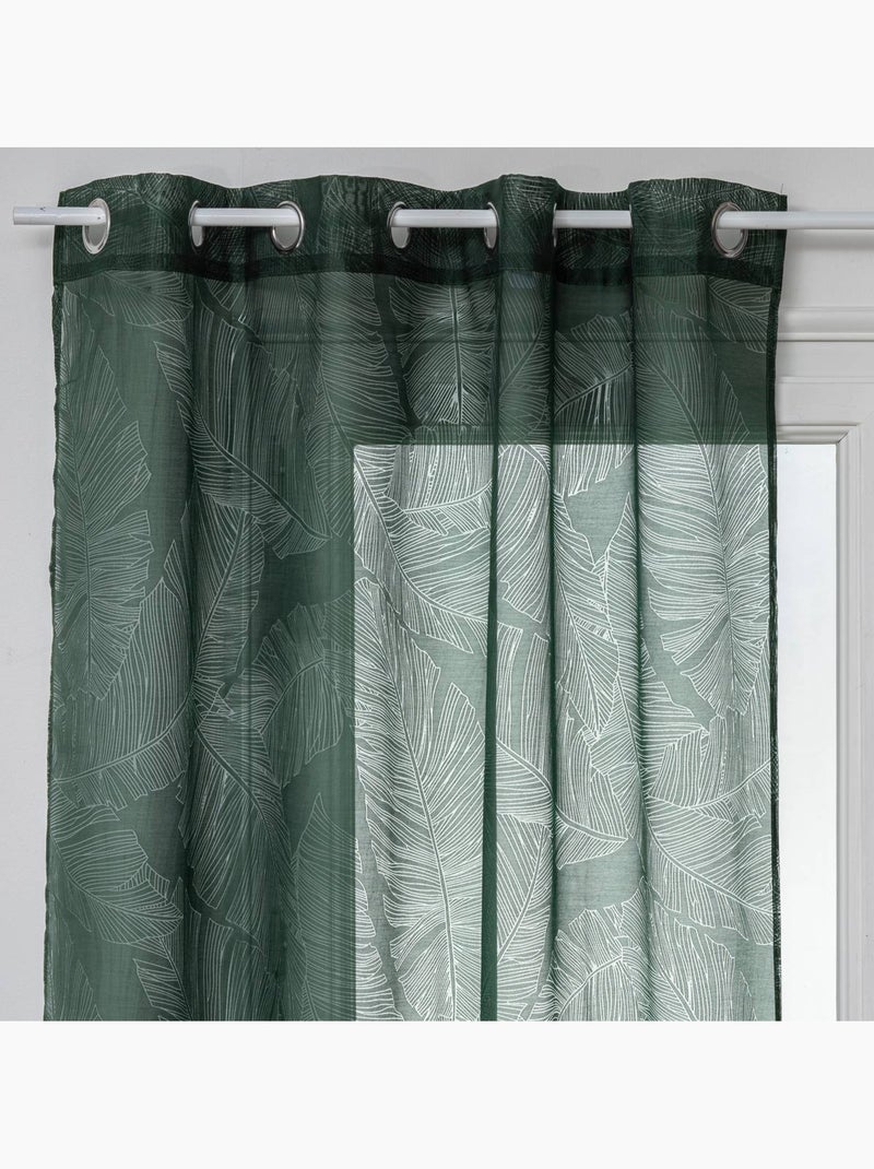Cortinas de rede com estampado de folhas Verde - Kiabi