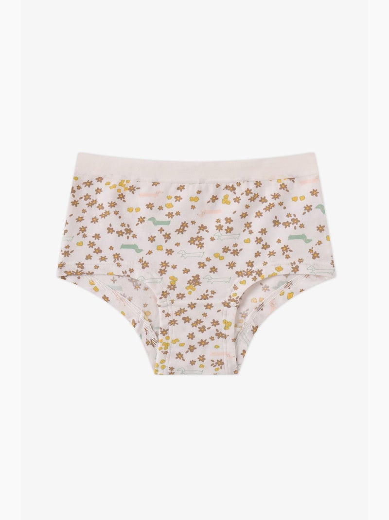 Cueca hipster infantil glow com estampado de cão penti Castanho - Kiabi