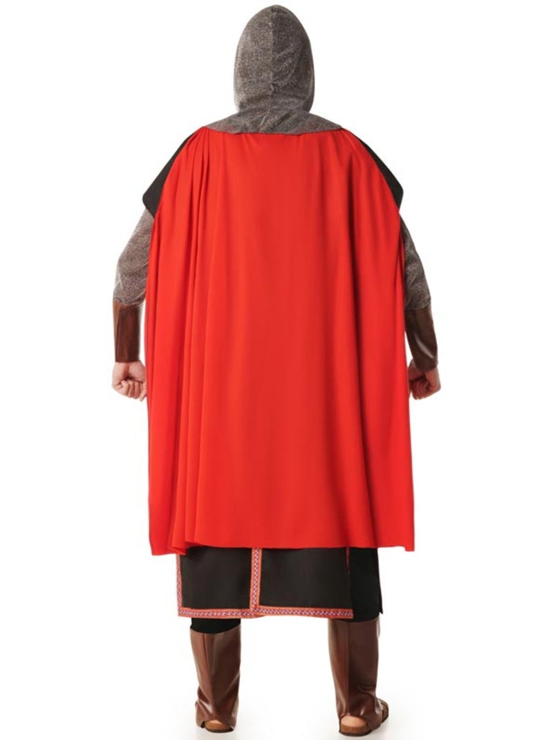 Disfarce de cavaleiro medieval leão para homem Multicolorido - Kiabi