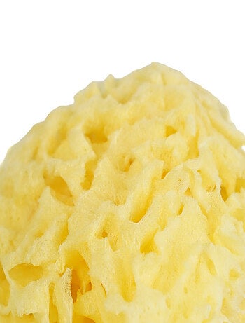 Esponja do mar natural em favo thermobaby para banho de bebé