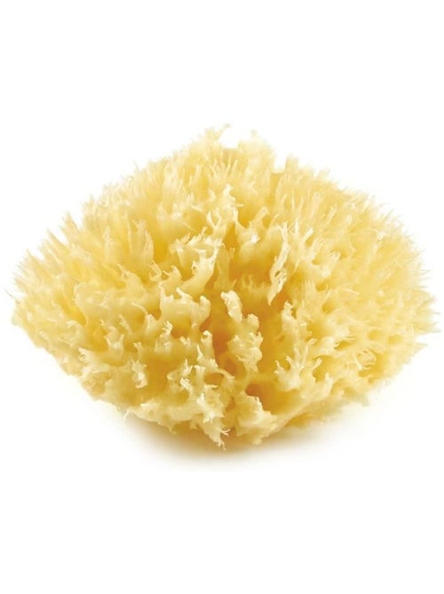 Esponja do mar natural em favo thermobaby para banho de bebé - Kiabi