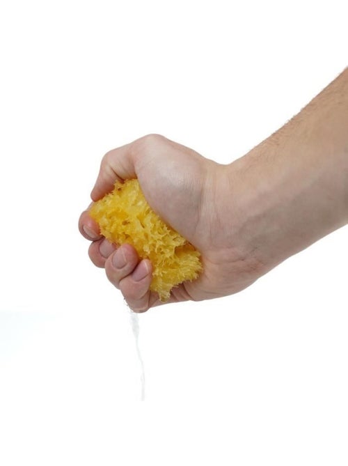 Esponja do mar natural em favo thermobaby para banho de bebé - Kiabi