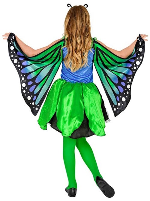 Fantasia de borboleta com asas - Kiabi