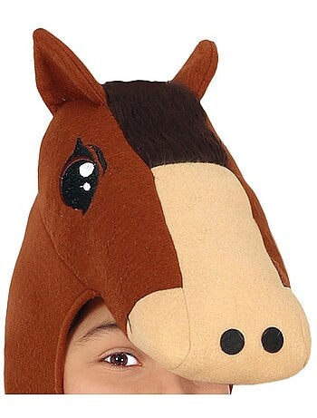 Fantasia de cavalo com capuz