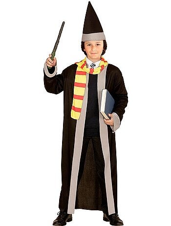 Fantasia de Estudante Mágico